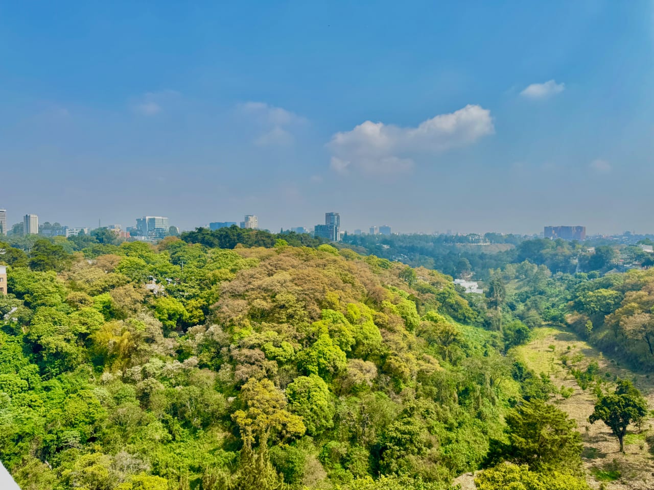 Apartamento en alquiler para quienes valoran los espacios abiertos y las vistas aseguradas — foto 7 de 10