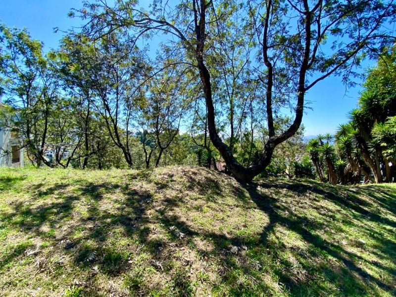Terreno en venta en Club de Golf San Isidro — foto 2 de 4