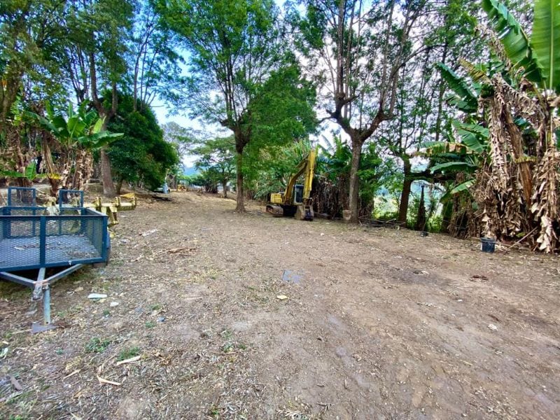 Propiedad en venta sobre la carretera a Villa Canales por Green Rush  — foto 3 de 7