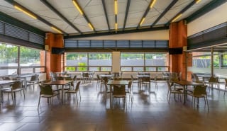 Interesante Propiedad en alquiler para Negocio, Academias, Universidades, Restaurantes, Negocios de Entretenimiento y más en zona 15. — miniatura 9 de 11