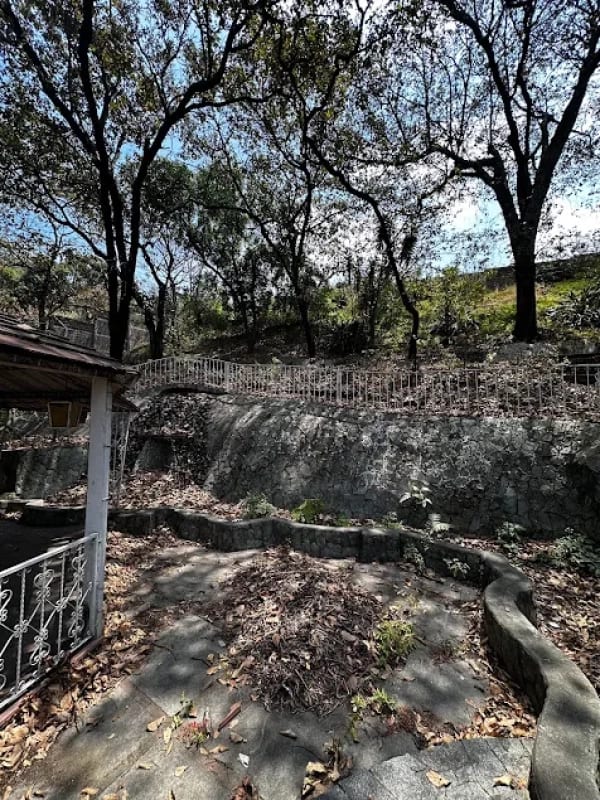 HERMOSA CASA EN COLONIA PRIMAVERA, ZONA 11 — foto 5 de 15