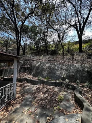 HERMOSA CASA EN COLONIA PRIMAVERA, ZONA 11 — miniatura 5 de 15